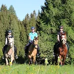 Narnhoferwirt 3* Sankt Jakob im Walde