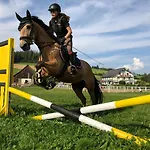 Narnhoferwirt 3*