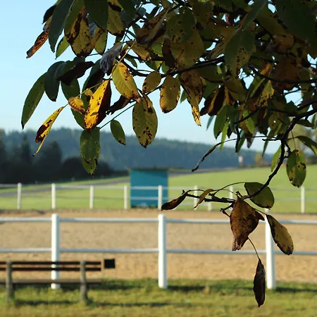Narnhoferwirt סנט יקוב אים וואלדה