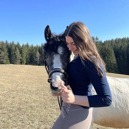 Penzion Narnhoferwirt