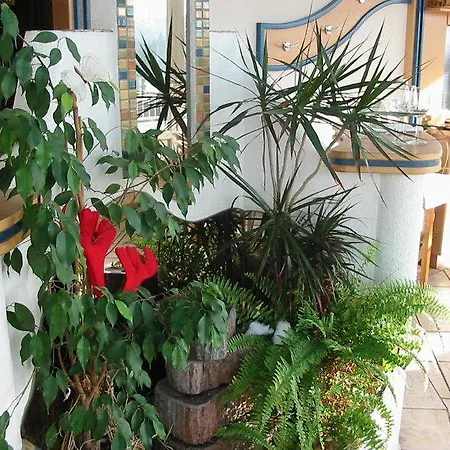 Narnhoferwirt סנט יקוב אים וואלדה