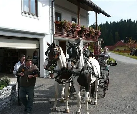 Narnhoferwirt Guest house