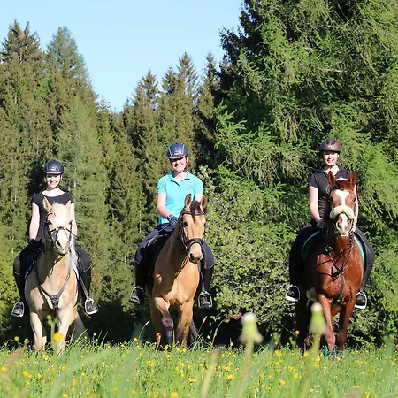 Narnhoferwirt 3* סנט יקוב אים וואלדה