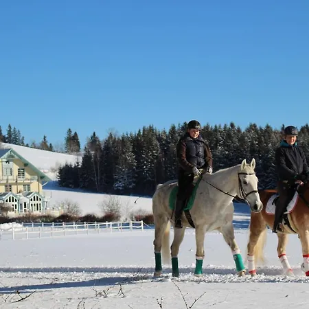 Penzion Narnhoferwirt 3*