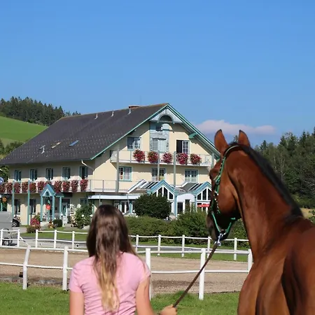 Guest house Narnhoferwirt 3*