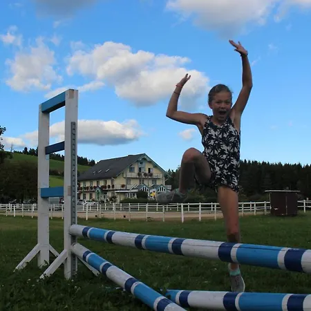 Narnhoferwirt בית הארחה