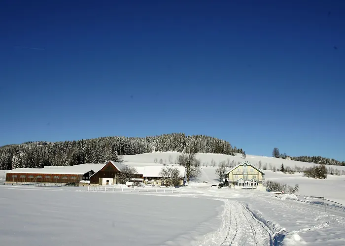 招待所 奈霍芬威特酒店