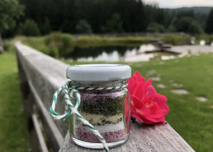 招待所 奈霍芬威特酒店 3*