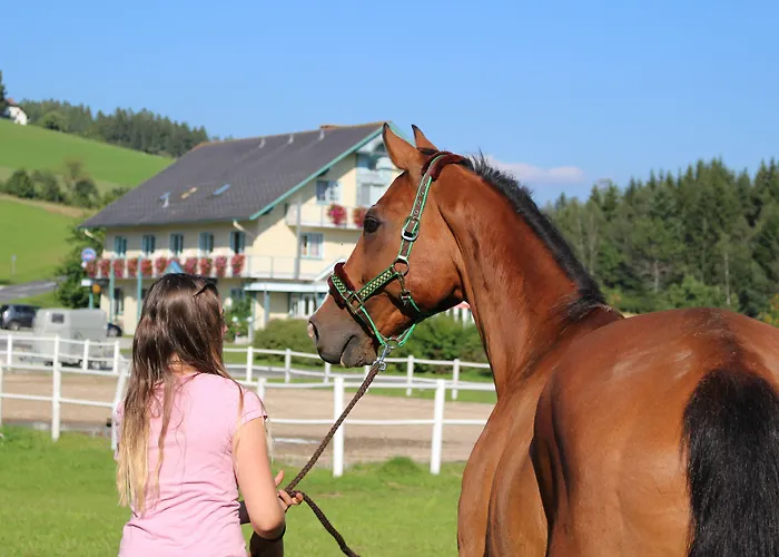 Konukevi Narnhoferwirt 3*