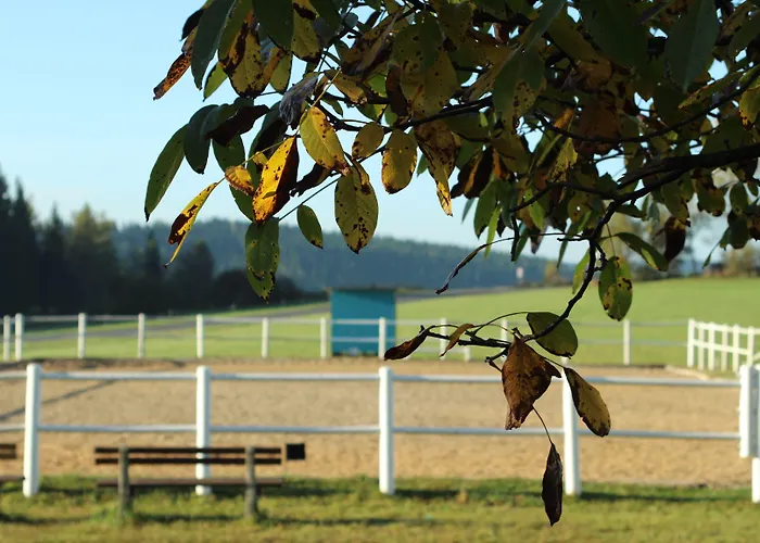 奈霍芬威特酒店 林区圣雅各布