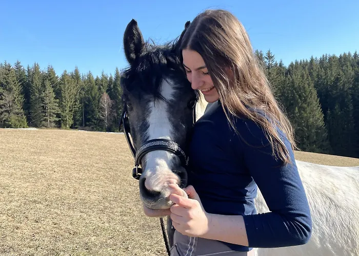 招待所 奈霍芬威特酒店