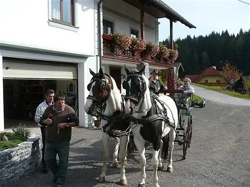 Narnhoferwirt Konukevi