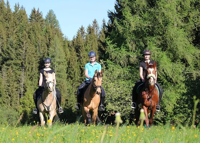 Narnhoferwirt 3* Sankt Jakob im Walde