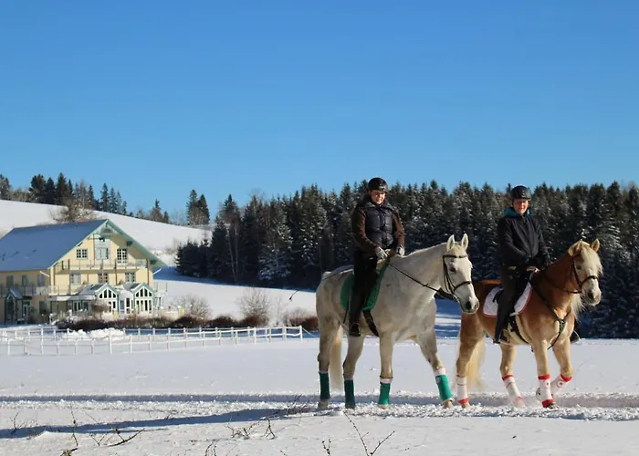 招待所 奈霍芬威特酒店 3*